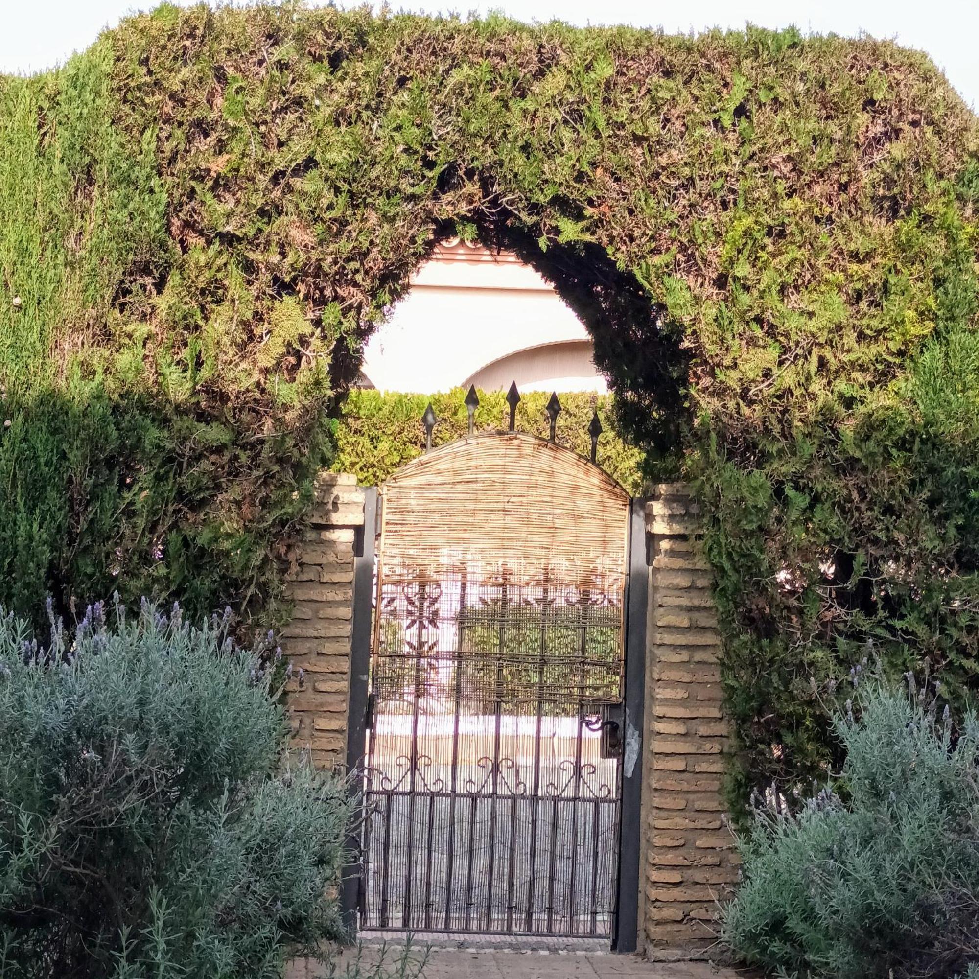 Hispalis Villa En Matalascañas Екстериор снимка